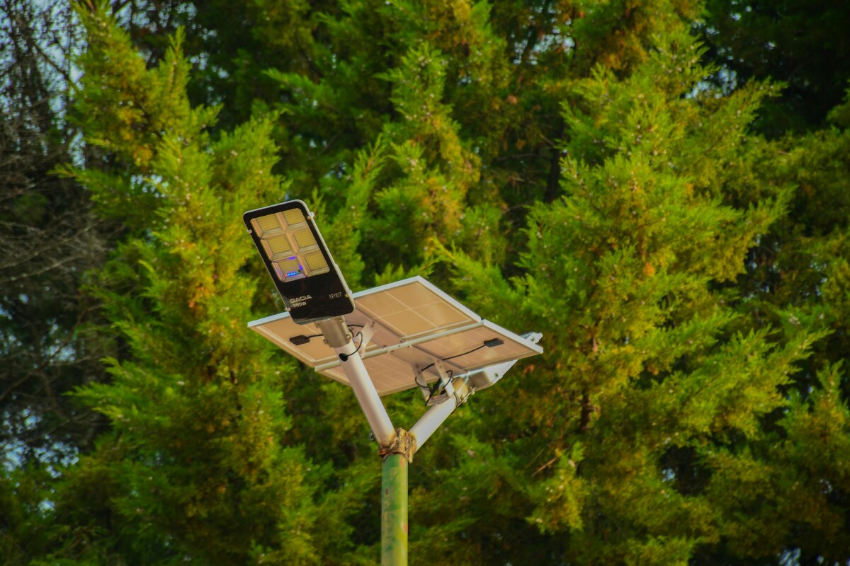 pexels photo 32915849 32915849 A solar-powered street light set against vibrant green conifer trees, symbolizing sustainable energy.